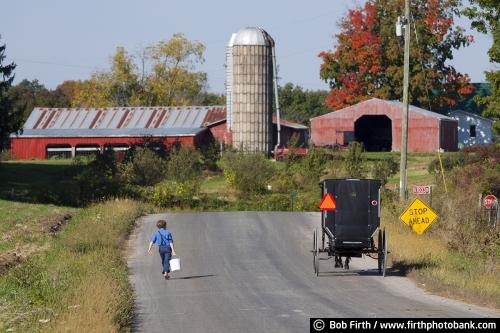 Amish boy, walking to school, lunch pail, WI, Wisconsin, road, farm, barn, carriage, buggy, horse drawn carriage, agricultural scene,country,child,barefoot