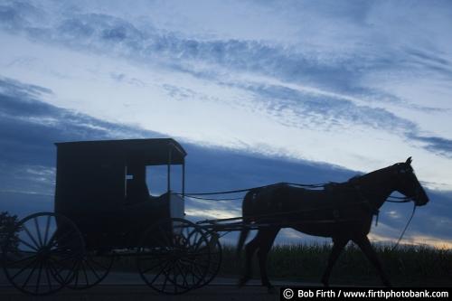 Amish buggy, horse drawn carriage,WI, Wisconsin,silhouette,twilight,dusk,country,road,workhorse,night,evening sky,agriculture,agricultural scene