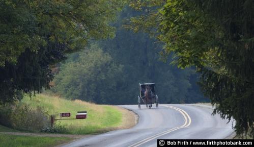 Amish,buggy,country,road,WI,Wisconsin,carriage,horse,workhorse