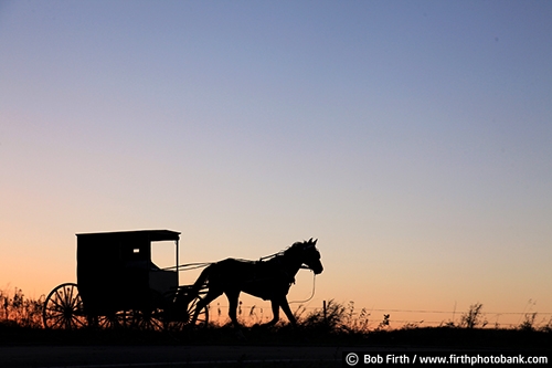 agricultural scene;Amish;agriculture;buggy;carriage;country;dusk;evening sky;fall;horse drawn carriage;profile;silhouette;road;summer;sunset;twilight;WI;Wisconsin