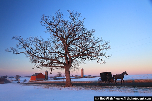 Wisconsin;winter trees;winter;WI;twilight;snow;silo;road;red barn;profile;horse drawn carriage;homestead;field;farm;evening sky;dusk;country;carriage;buggy;Amish;agriculture;agricultural scene