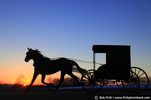 Wisconsin;winter trees;winter;WI;twilight;sunset;snow;silhouette;road;profile;horse drawn carriage;evening sky;dusk;country;buggy;Amish;agricultural scene