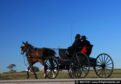 Wisconsin;WI;road;man;woman;horse drawn carriage;fall;country;buggy;couple;agricultural scene;Amish