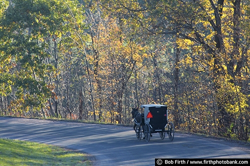 agricultural scene;Amish;buggy;carriage;country;fall trees;fall colors;horse drawn carriage;WI;Wisconsin;road