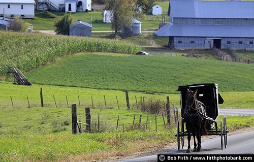 Wisconsin;WI;summer;road;horse drawn carriage;homestead;home;field;farm;crop;country;corn stalks;carriage;buggy;barn;Amish;agriculture;agricultural scene