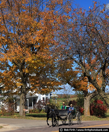 agriculture;Amish;buggy;carriage;country;couple;fall;fall trees;home;homestead;horse drawn carriage;man;road;WI;Wisconsin;woman