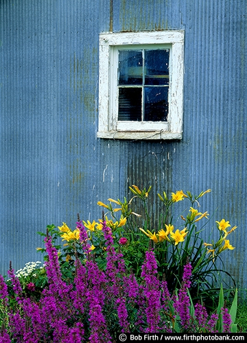 Barns;agriculture;country;farm;farm buildings;garden;flower garden;rural;barn window;midwest farm;metal barn;gray barn;grey barn;barn detail;barn close up;summer