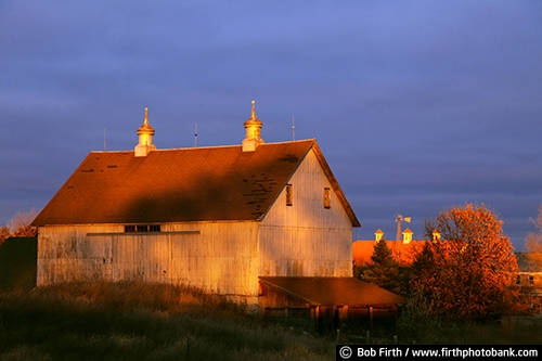 rural;country;agriculture;agricultural;farm buildings;farmsteads;Minnesota;fall;white barn;sunset;autumn;Carver County;cupola;evening sky;Victoria MN