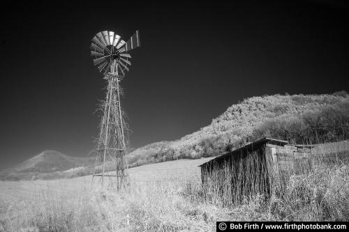 black and white photo;agriculture;country;rural;windmill;WI;Wisconsin;vine covered windmill;solitude;bluff country;bluffs;Buffalo County;grasses;Mississippi River area;Mississippi River Backroads;Mississippi River Valley;river bluffs;old shed