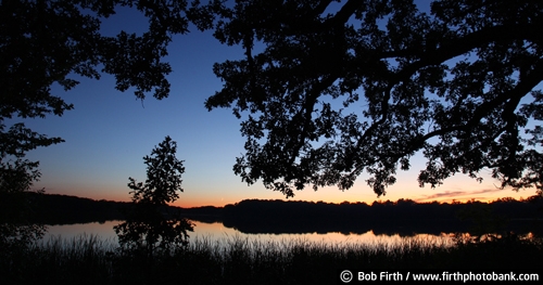 water;Victoria Minnesota;twilight;trees;Three Rivers Park District;sunsets;summer;silhouettes;peaceful;Minnesota;grasses;Carver Park;Carver County;Auburn Lake