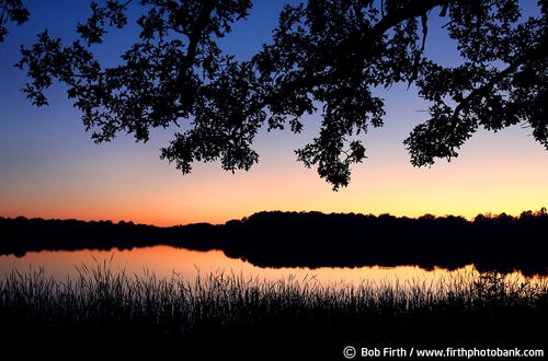 calm;Carver County;Minnesota;MN;morning;peaceful;reflections;silhouette;summer;sunrise;trees;twilight;water;Auburn Lake;Carver Park;grasses;Victoria Minnesota