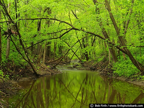 reflections in water;refections;Carver County;Chaska MN;creek;Minnesota;MN;spring;spring trees;water;Chaska Creek;quiet water;peaceful;solitude