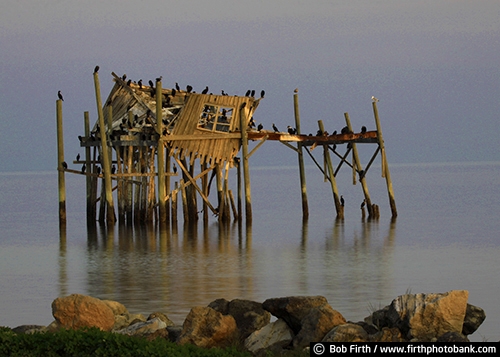 Cedar Key FL;Florida;Gulf of Mexico;historic;ocean;old fish house ;weathered;moldering;remnants;landmark;storm damage