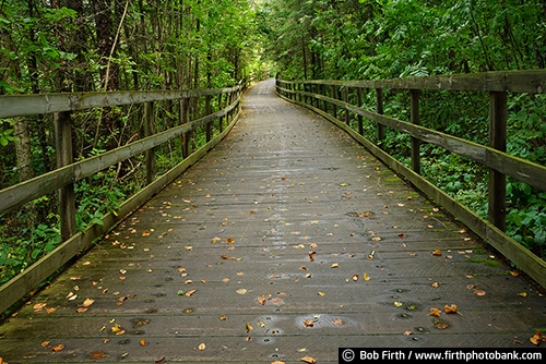 Itasca State Park;northern Minnesota;path;pathway;summer;trail;tourism;trees;wooden bridge;woodlands;walking;upper Mississippi River;up north;MN;hiking;Headwaters;Great River Road;explore;destination;bridge;Mississippi River