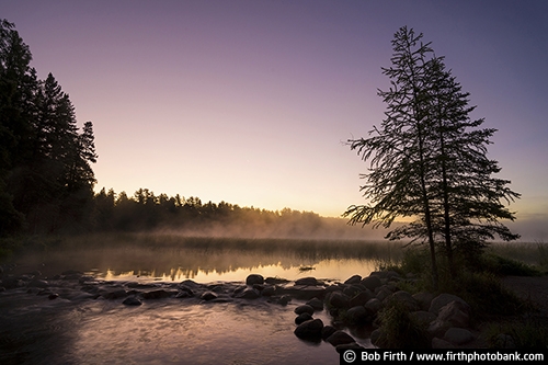 Mississippi River;Headwaters;Itasca State Park;Great River Road;Mighty Mississippi;Minnesota;upper Mississippi River;summer;stepping stones;silhouette;sunrise;rocks;rock pathway;quiet water;predawn;pine trees;pathway;path;morning;fog;foggy;natural bridge;Lake Itasca