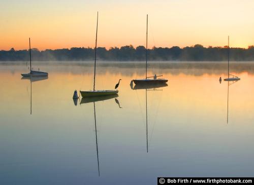 sunrises;sailboats;reflections in water;water;waterfowl;silhoutte;photo;Minnesota;Minneapolis;Lake Nokomis;Great Blue Heron;Mpls;MN;city park