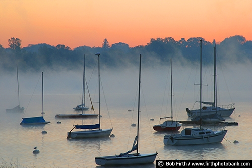 fog;foggy;Lake Harriet;lakes;Minneapolis;Minnesota;MN;Mpls;summer;sunrise;trees;sailboats;Twin Cities;water