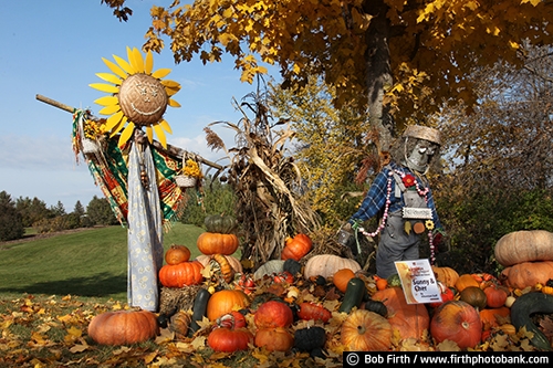 University of Minnesota Landscape Arboretum;Chaska Minnesota;autumn;fall foliage;fall color;fall leaves;vegetables;scarecrows;pumpkins;gourds;holiday display