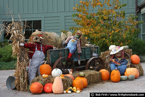 University of Minnesota Landscape Arboretum;Chaska Minnesota;autumn;fall foliage;fall color;fall leaves;vegetables;scarecrows;pumpkins;gourds;holiday display