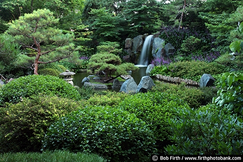 Japanese Garden;University of Minnesota Landscape Arboretum;waterfall;summer;plants;landscaping;green;formal gardens;Chaska Minnesota