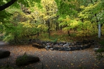 Minnesota Landscape Arboretum