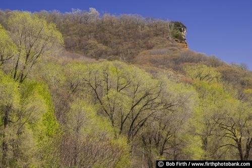 bluffs;Eagle Bluff;Great River Road;Mississippi River bluffs;Mississippi River Valley;Perrot State Park;spring trees;Trempealeau, WI