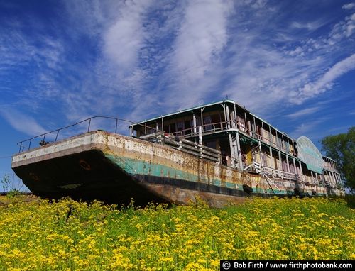 old Mississippi River Showboat;entertainment;U.S. National Historic Landmark;threatened Historical Landmark;salvaged;moored;Kampsville IL;Illinois River;damaged boat;spring;Illinois;Goldenrod Showboat;yellow flowers