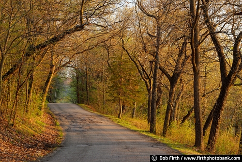 Wisconsin;Trempealeau, WI;trees;road;spring;Perrot State Park;Mississippi River Valley