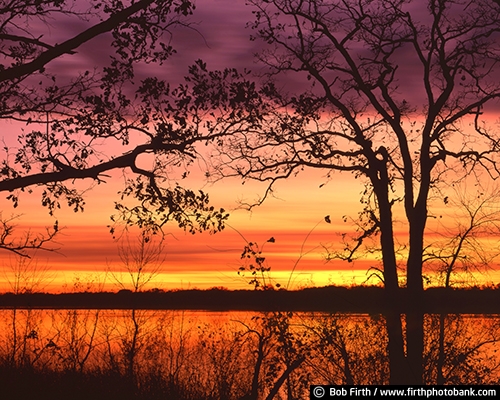 Mississippi River;Minnesota;MN;peaceful;scenic;silhouette;sunrise;sunset;trees;WI;Wisconsin;bluffs;colorful sky