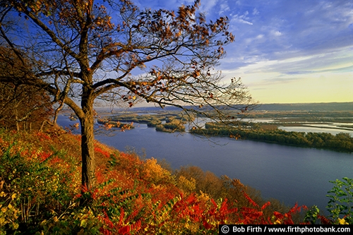 autumn;bluffs;coulees;fall color;islands;Mighty Mississippi;Minnesota;Mississippi River;overlook;overview;scenic;trees;vista;water;WI;Wisconsin;foliage;hills;IA;Iowa;Pikes Peak