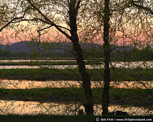 bluffs;colorful sky;Mississippi River;Minnesota;MN;peaceful;silhouette;spring;sunrise;trees;WI;Wisconsin