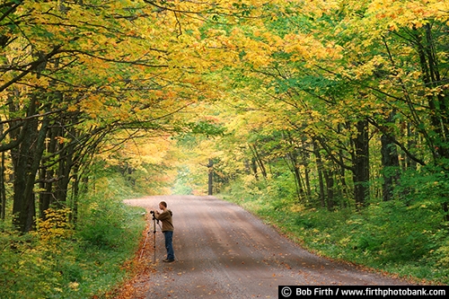 apprentice;backroads;destination;fall colors;Minnesota;MN;North Shore Scenic Drive;north woods;photographer;teenager;tourism;tourist;trees;woodlands;young adult;young male;Sawtooth National Forest;road