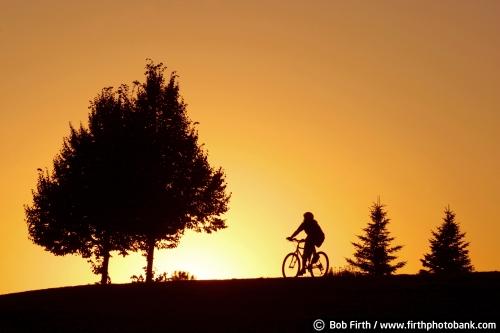 trees;sunset;woman;summer;Minnesota;cyclist;Chaska;bicycling;bicycles;cycling;orange sky;MN;silhouette