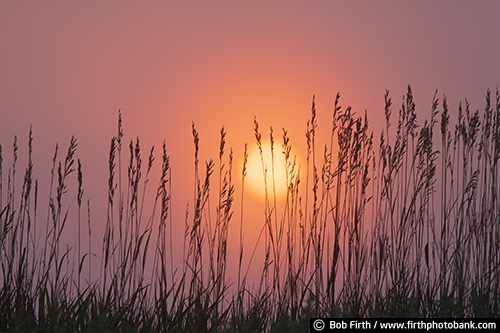 Badlands National Park SD;South Dakota;sunset;prairie;grasses;sun;summer;silhouette