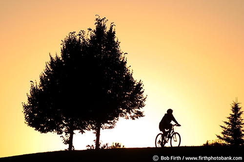 sunset;bicycle touring;bicycling;bikes;cycling;cyclist;fun pastime;exercise;recreation;Minnesota;MN;silhouette;summer;trees;woman;solitude;peaceful;relaxing;golden sky;mountain bike