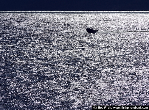 recreation;boat;boating;Lake Pepin;man;Mighty Mississippi;Minnesota;Mississippi River;MN;motor boat;silhouette;solitude;upper Mississippi River;WI;Wisconsin;transportation