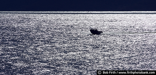 recreation;boat;boating;Lake Pepin;man;Mighty Mississippi;Minnesota;Mississippi River;MN;motor boat;silhouette;solitude;upper Mississippi River;WI;Wisconsin;transportation