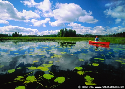canoeing;fun pastime;lake;lily pads;MN;northern Minnesota;paddle sport;peaceful;recreational;red canoe;solitude;summer;water;water sport;white puffy clouds;male;teen;teenager