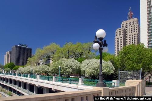 St. Paul;spring;spring trees;Flowering Crab Trees;skyline;First Bank Building;1st Bank Building;Kellogg park;St. Paul Parks;blue sky;spring day;Minnesota;MN