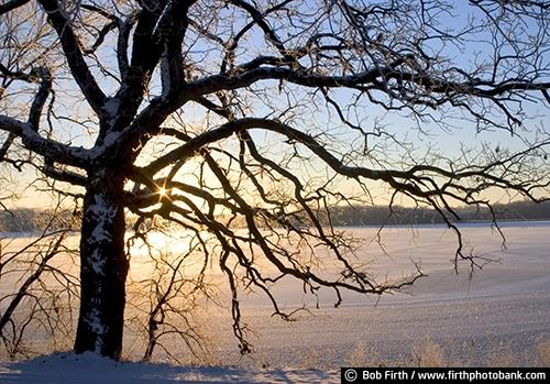 silhouettes;winter;Victoria Minnesota;Three Rivers Park District;sunburst;sunrises;peaceful;oak trees;Minnesota;inspirational;frozen lakes;frosty;Carver Park;calm;Auburn Lake