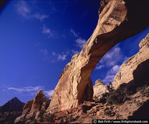 Utah;Arches National Park;contains the highest density of natural arches in the world;eastern Utah;located in the Colorado Plateau;more than 2000 natural sandstone arches;red rock;red rock landscape;UT;pinnacles;Utah National Park