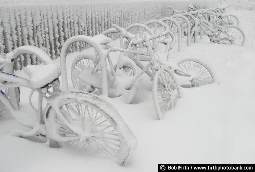 bicycles;bike rack;bikes;Minneapolis;Minnesota;photo;snow;snow covered;University of Minnesota;winter;MN