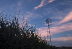 Windmills &Wind Turbines