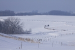 Country