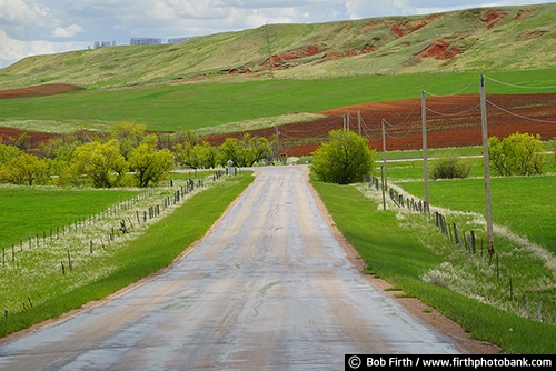 WY;road;trees;T in the road;Wyoming;Black Hills;destination;solitude;alone;telephone poles;deserted;Crook County;northeastern Wyoming;rolling prairie;rolling