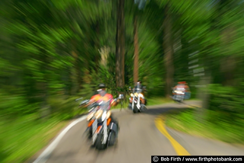 touring;Sturgis Motorcycle Rally;South Dakota;SD;roads;motorcyclists;motorcycling;motorcycles;motorbikes;motion;daytime;cycles;blur;Black Hills;bikes;backroads;action;woodlands;woods;trees;winding roads