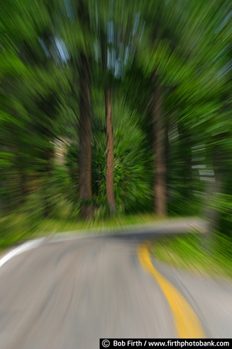 winding roads;trees;Sturgis;special effects;South Dakota;SD;roads;motion;daytime;blur;Black Hills;backroads;abstract;action