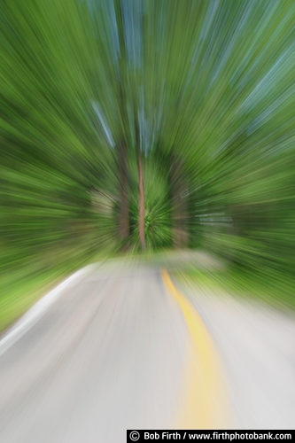 abstract;action;backroads;Black Hills;blur;daytime;motion;roads;SD;South Dakota;special effects;trees;winding roads